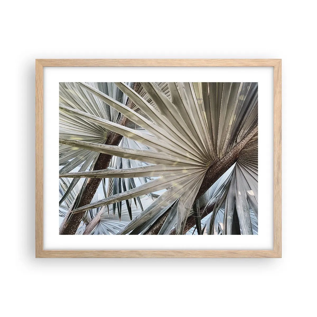 Poster in einem Rahmen aus heller Eiche - Fans in den Tropen - 50x40 cm