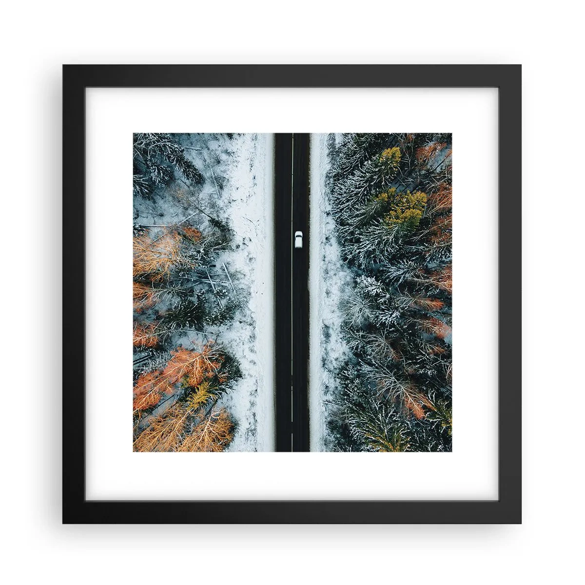 Poster in einem schwarzem Rahmen - Schnitt durch den Winterwald - 30x30 cm