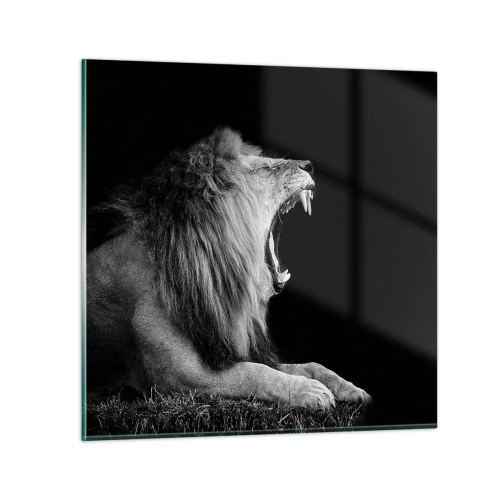 Glasbild - Bild auf glas - Ohne Zweifel - 70x70 cm