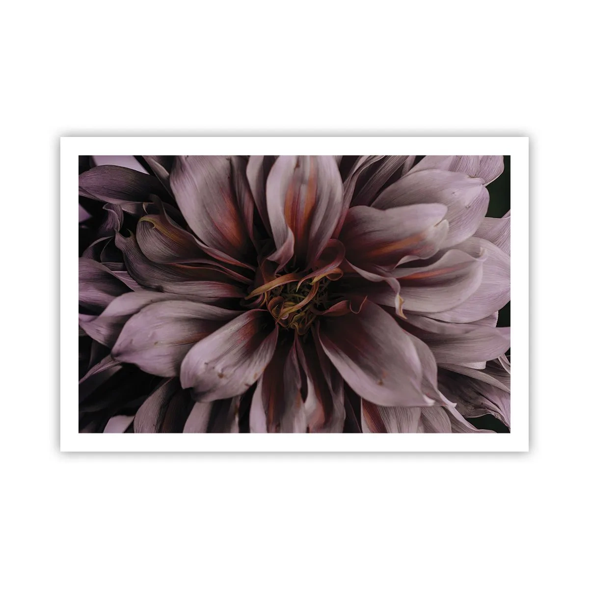 Poster - Ein Blumenherz - 91x61 cm