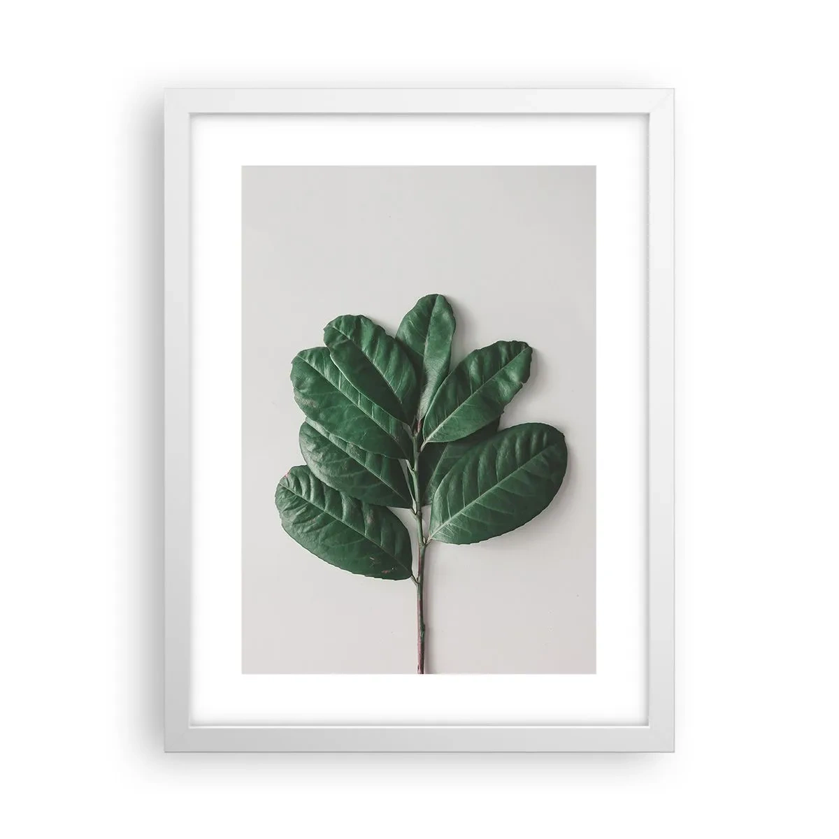 Poster in einem weißen Rahmen - Eine Zeichnung purer Natur - 30x40 cm