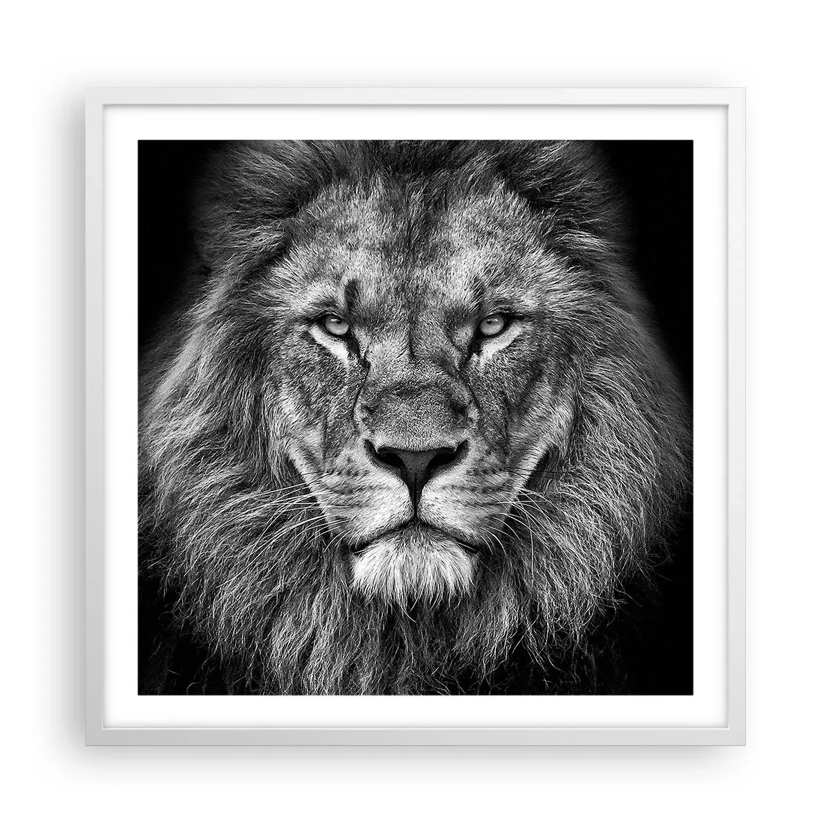 Poster in einem weißen Rahmen - Im Krönungsgewand - 60x60 cm