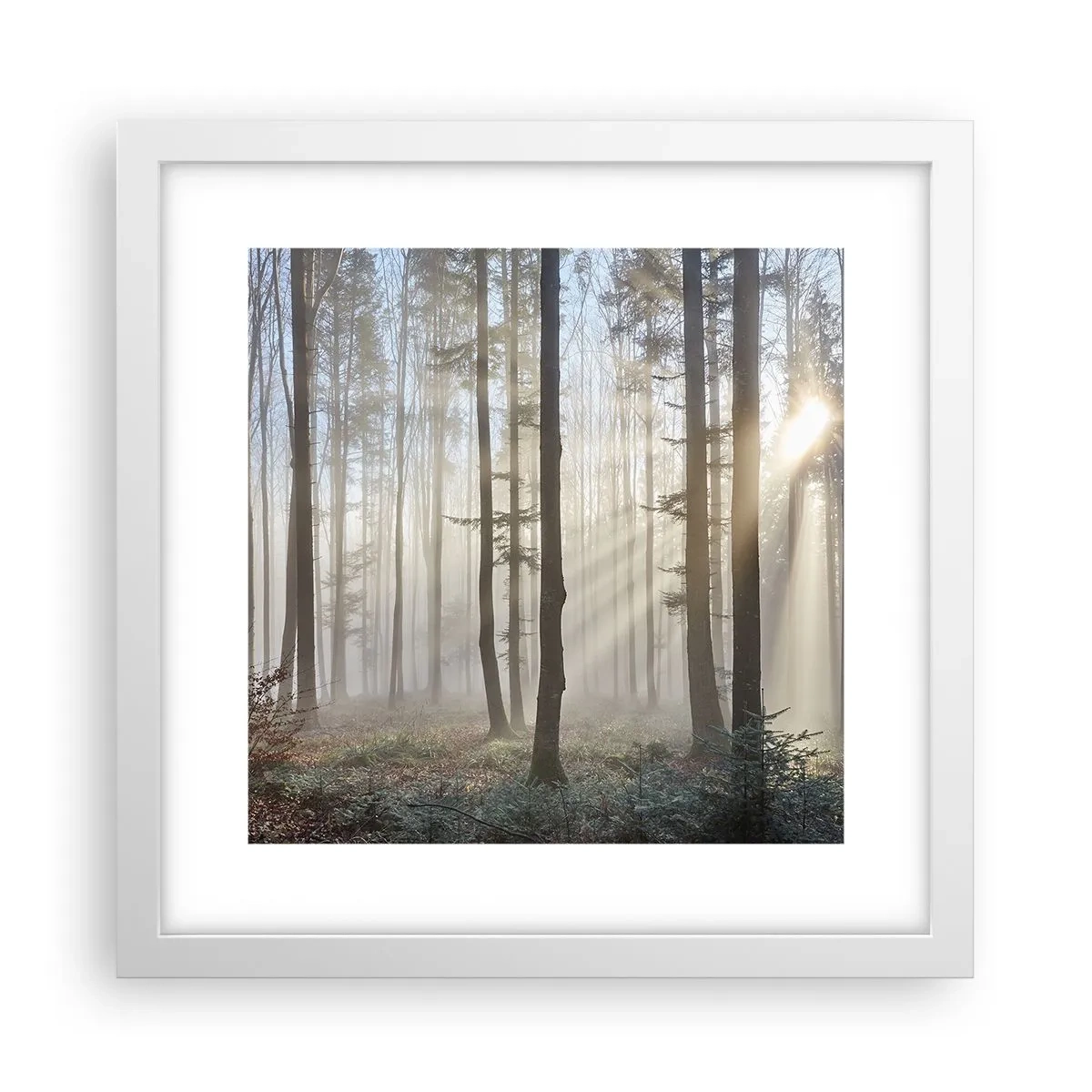 Poster in einem weißen Rahmen - Der Nebel ist auch aufgewacht - 30x30 cm
