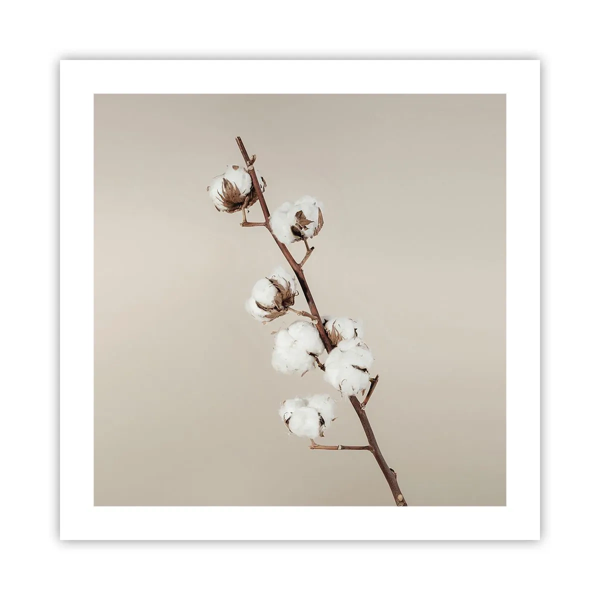 Poster - An der Quelle der Weichheit - 50x50 cm