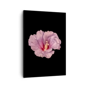 Bild auf Leinwand - Leinwandbild - Rosa Blume auf schwarzem Hintergrund - 50x70cm - Direkt ins Herz - Moderne Wanddekoration für Wohnzimmer und Schlafzimmer ARTTOR