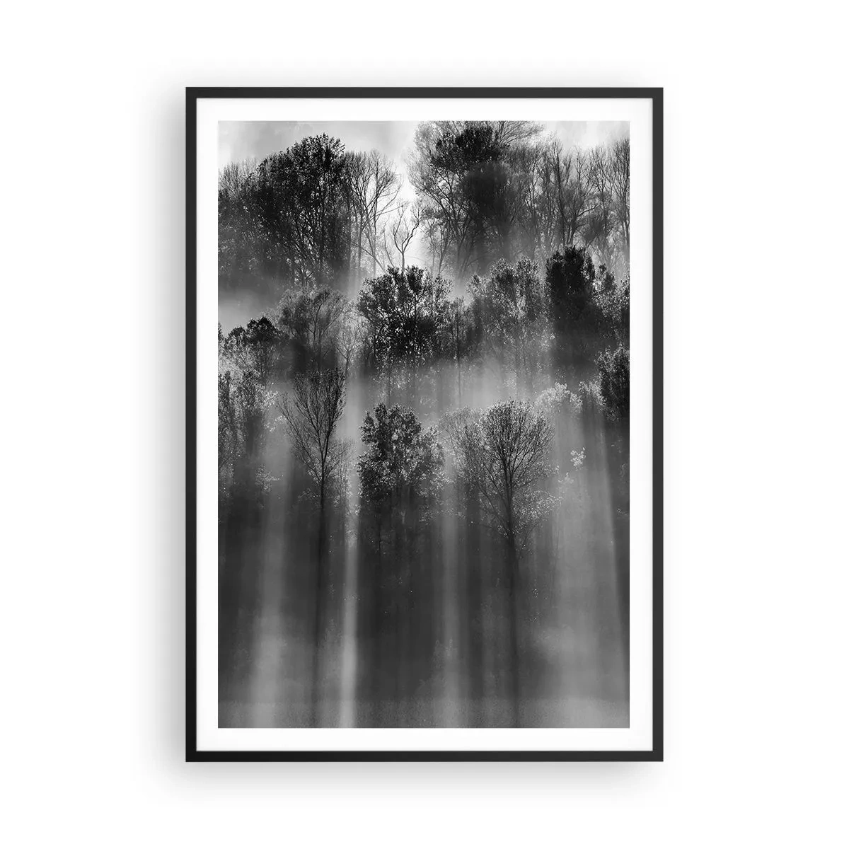 Poster in einem schwarzem Rahmen - In Lichtstrahlen - 70x100 cm