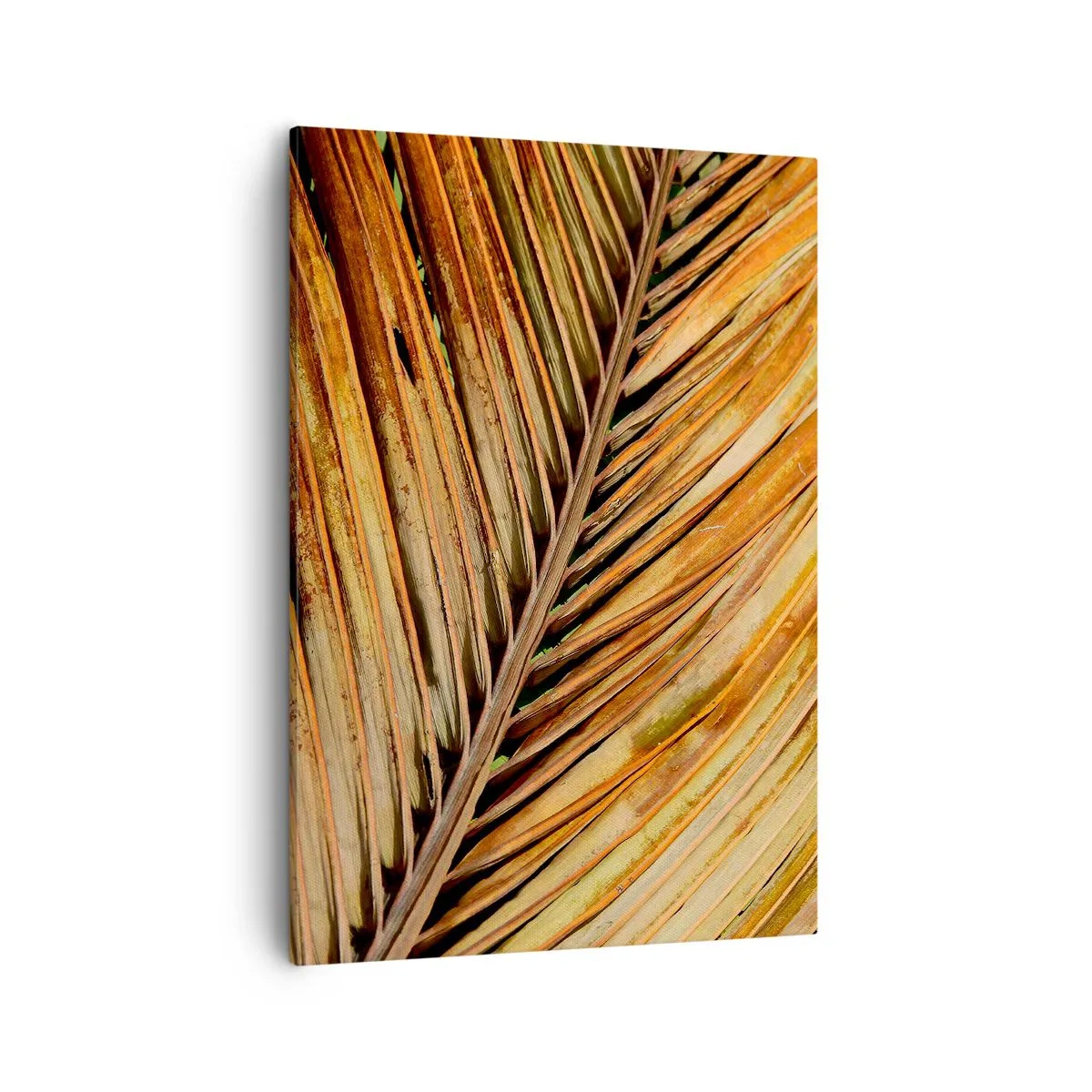 Bild auf Leinwand - Leinwandbild - Nahaufnahme eines trockenen Palmblattes in warmen Tönen - 50x70cm - Kokosnuss-Gold - Moderne Wanddekoration für Wohnzimmer und Schlafzimmer ARTTOR