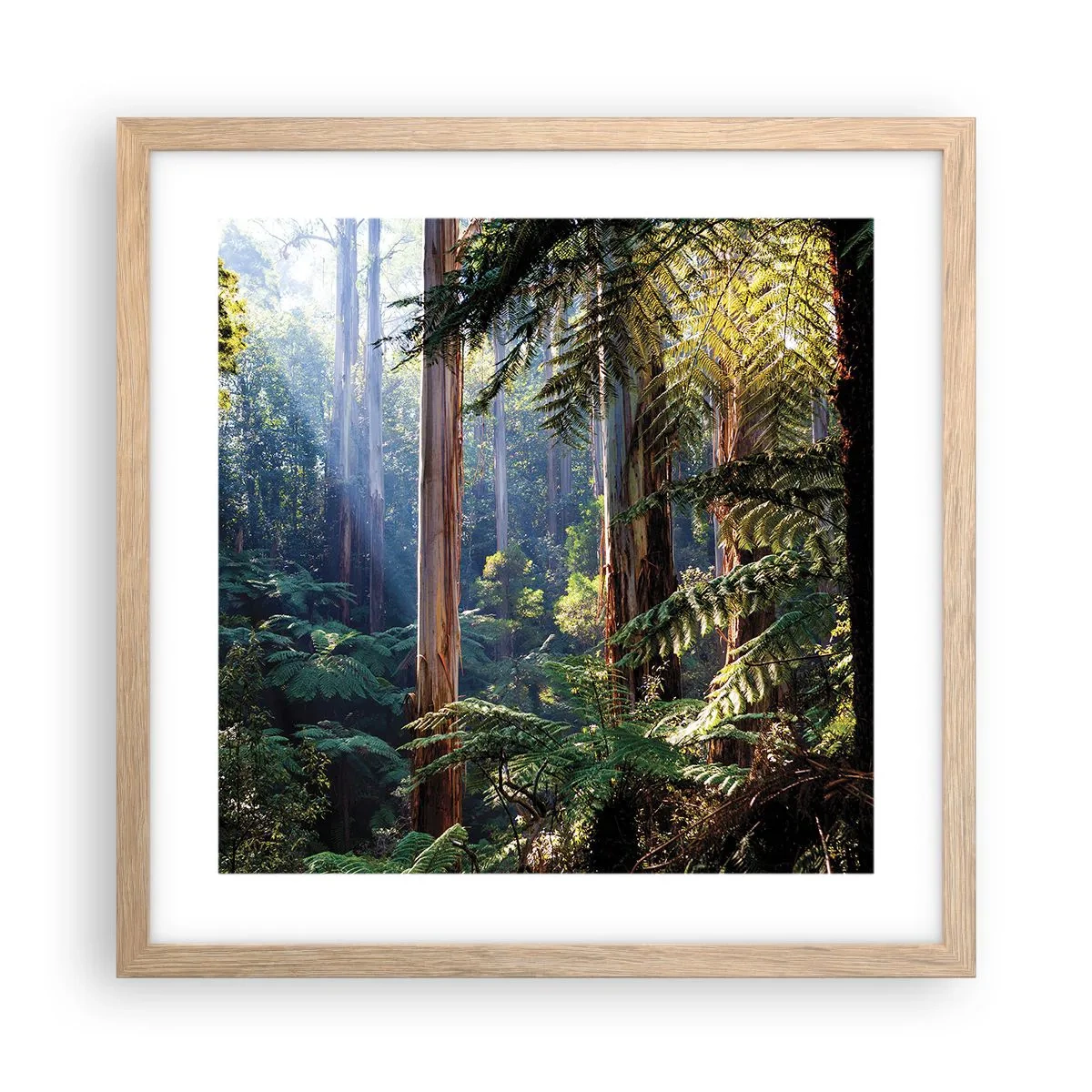 Poster in einem Rahmen aus heller Eiche - Ein Waldmärchen - 40x40 cm