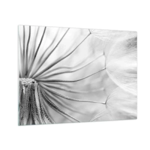 Glasbild - Bild auf glas - Makrofotografie eines Löwenzahns in Schwarz-Weiß-Tönen - 70x50cm - Löwenzahn, Drachen - Moderne Wanddekoration für Wohnzimmer und Schlafzimmer ARTTOR