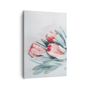 Bild auf Leinwand - Leinwandbild - Dezente rosa Protea-Blüten auf hellem Hintergrund - 50x70cm - Schämen sich für ihre eigene Schönheit - Moderne Wanddekoration für Wohnzimmer und Schlafzimmer ARTTOR