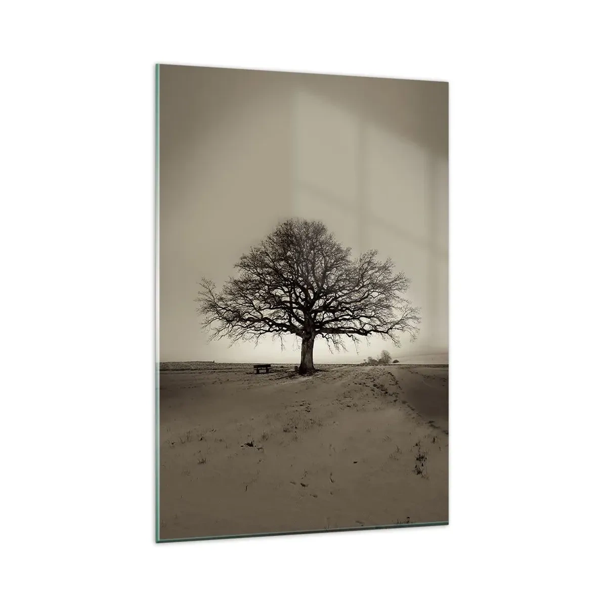 Glasbild - Bild auf glas - Ein einsamer Baum in einem Sepia-Feld - 80x120cm - Von hier zu Ewigkeit - Moderne Wanddekoration für Wohnzimmer und Schlafzimmer ARTTOR