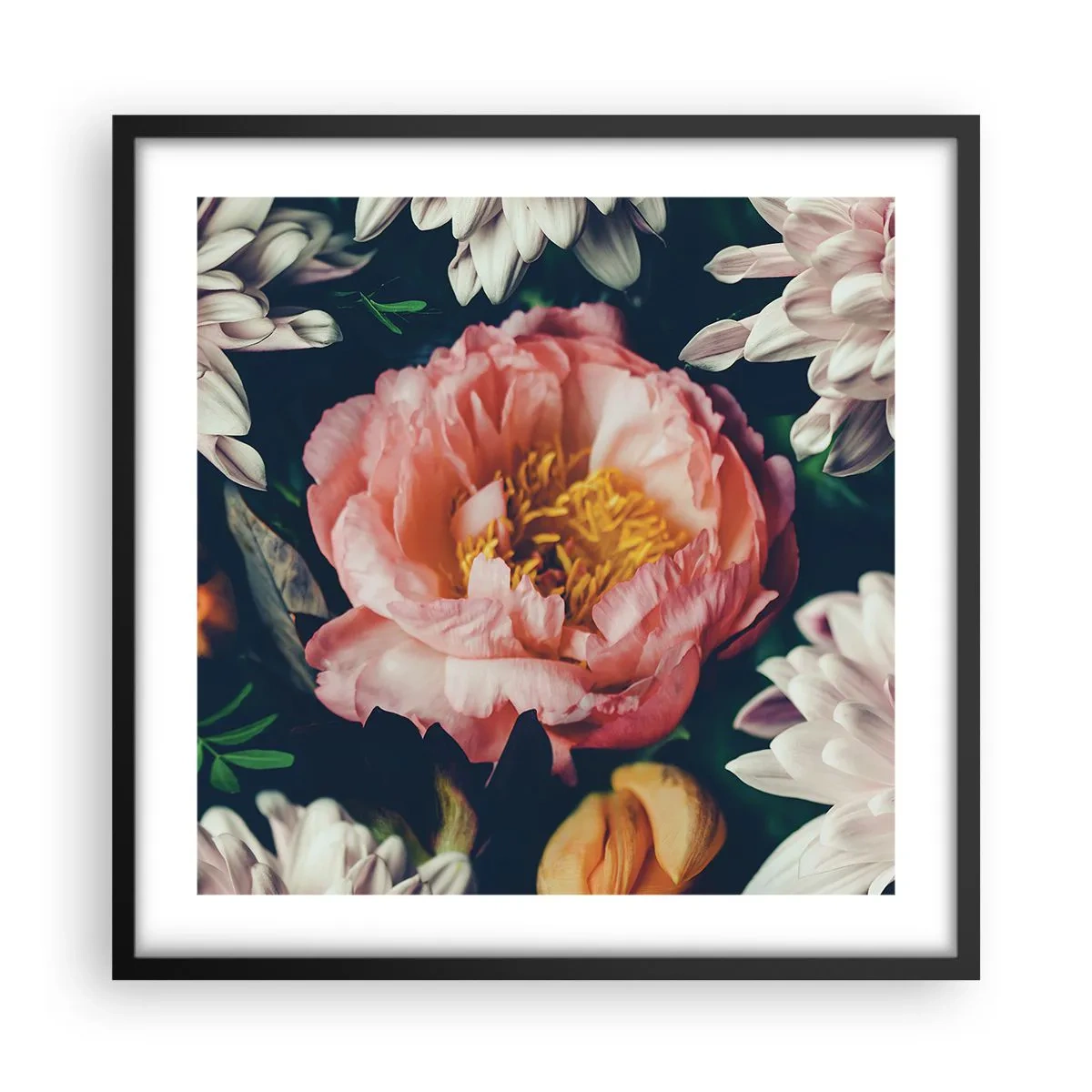 Poster in einem schwarzem Rahmen - Mit barocker Pracht - 50x50 cm