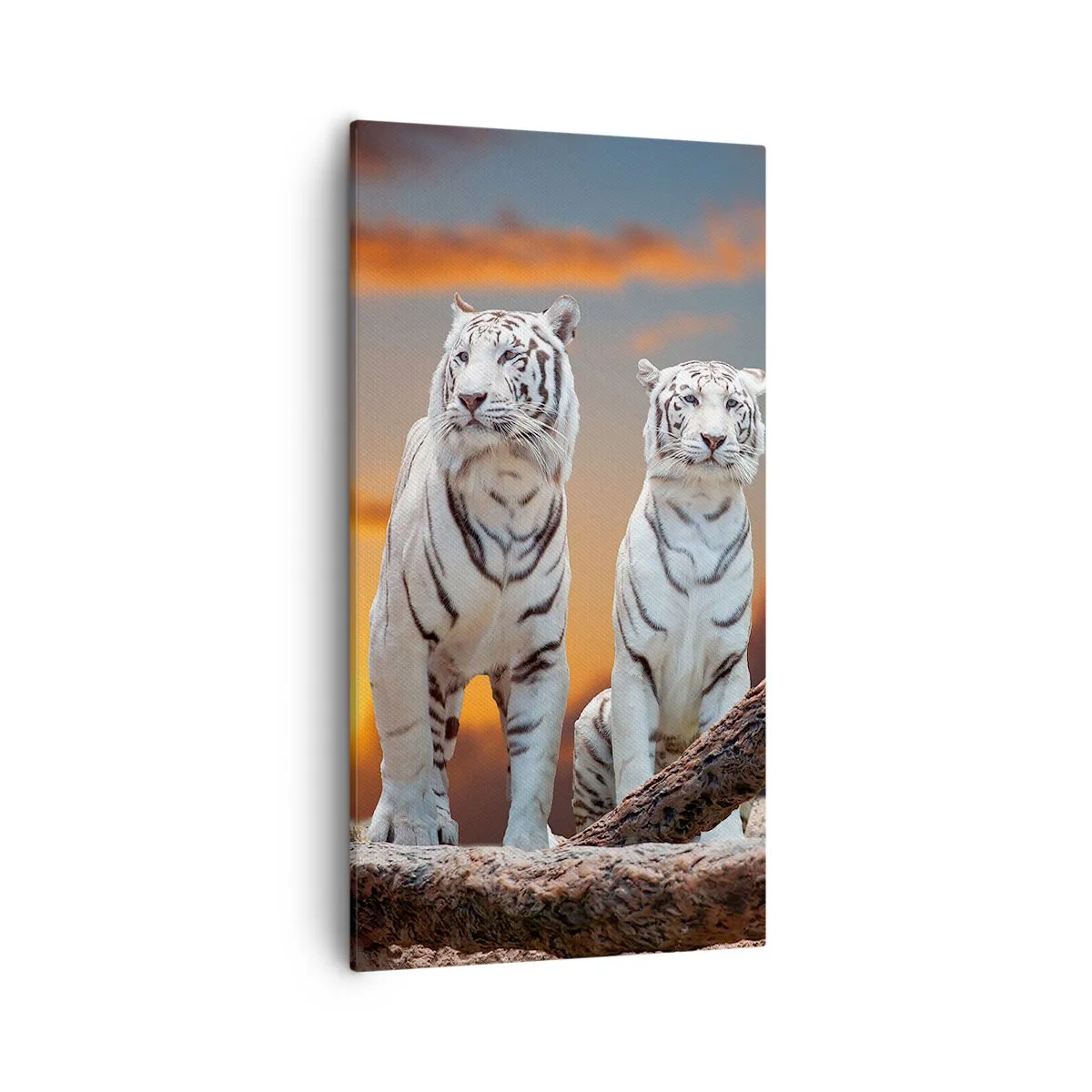 Bild auf Leinwand - Leinwandbild - Genau wie Narnia - 55x100 cm