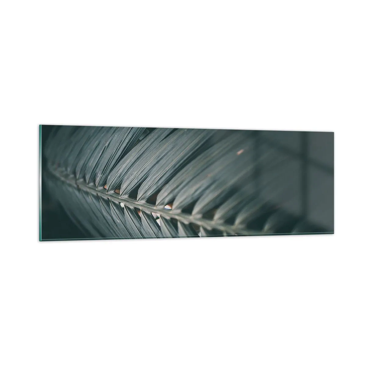 Glasbild - Bild auf glas - Die Präzision der Natur - 90x30 cm