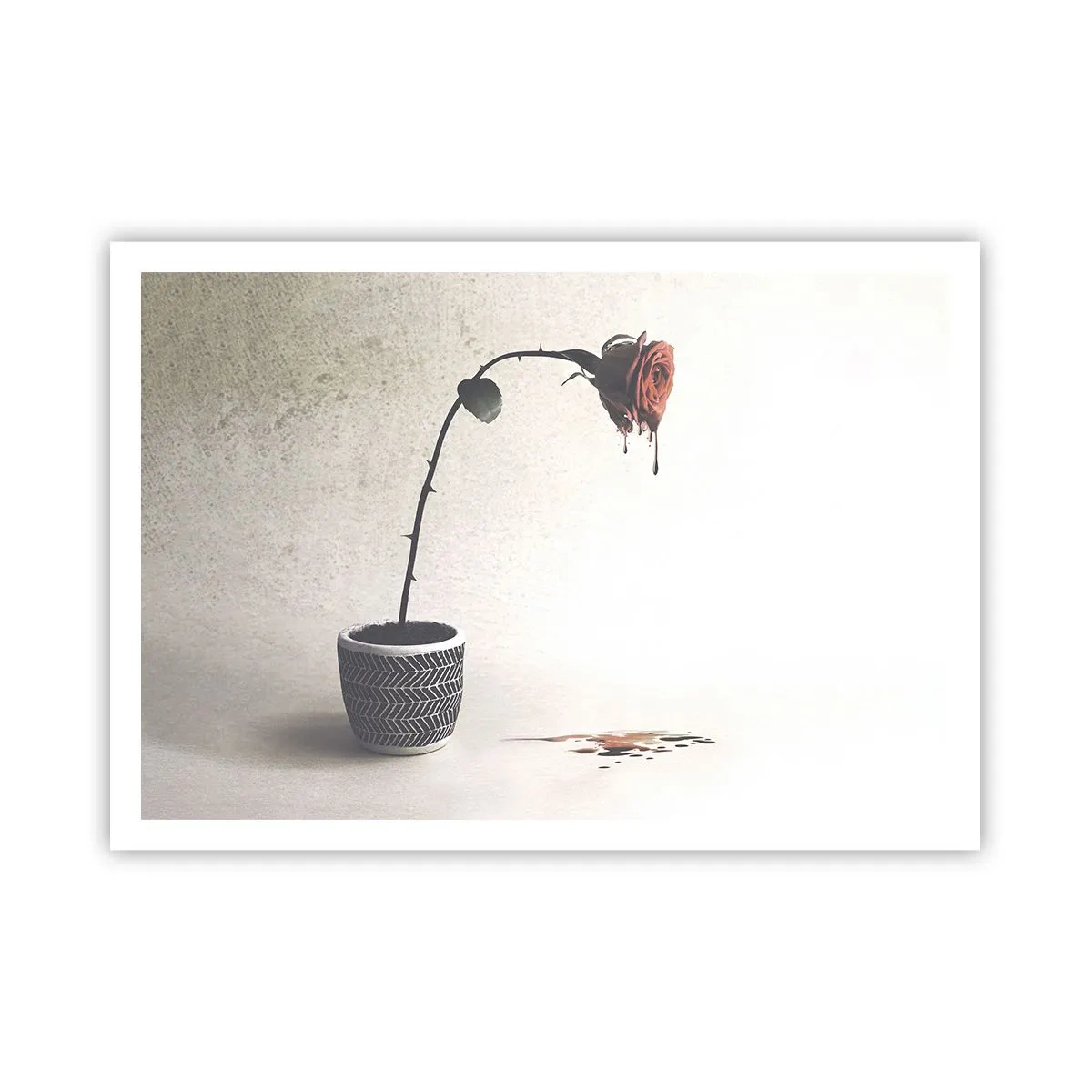 Poster - Eine rote Rose in einem Topf mit Farbtropfen auf weißem Hintergrund - 100x70cm - Rosa dolorosa - Moderne Wanddekoration für Wohnzimmer und Schlafzimmer ARTTOR