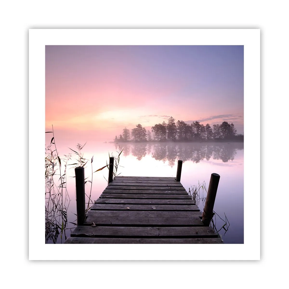 Poster - Aus dem lila Nebel ... - 50x50 cm