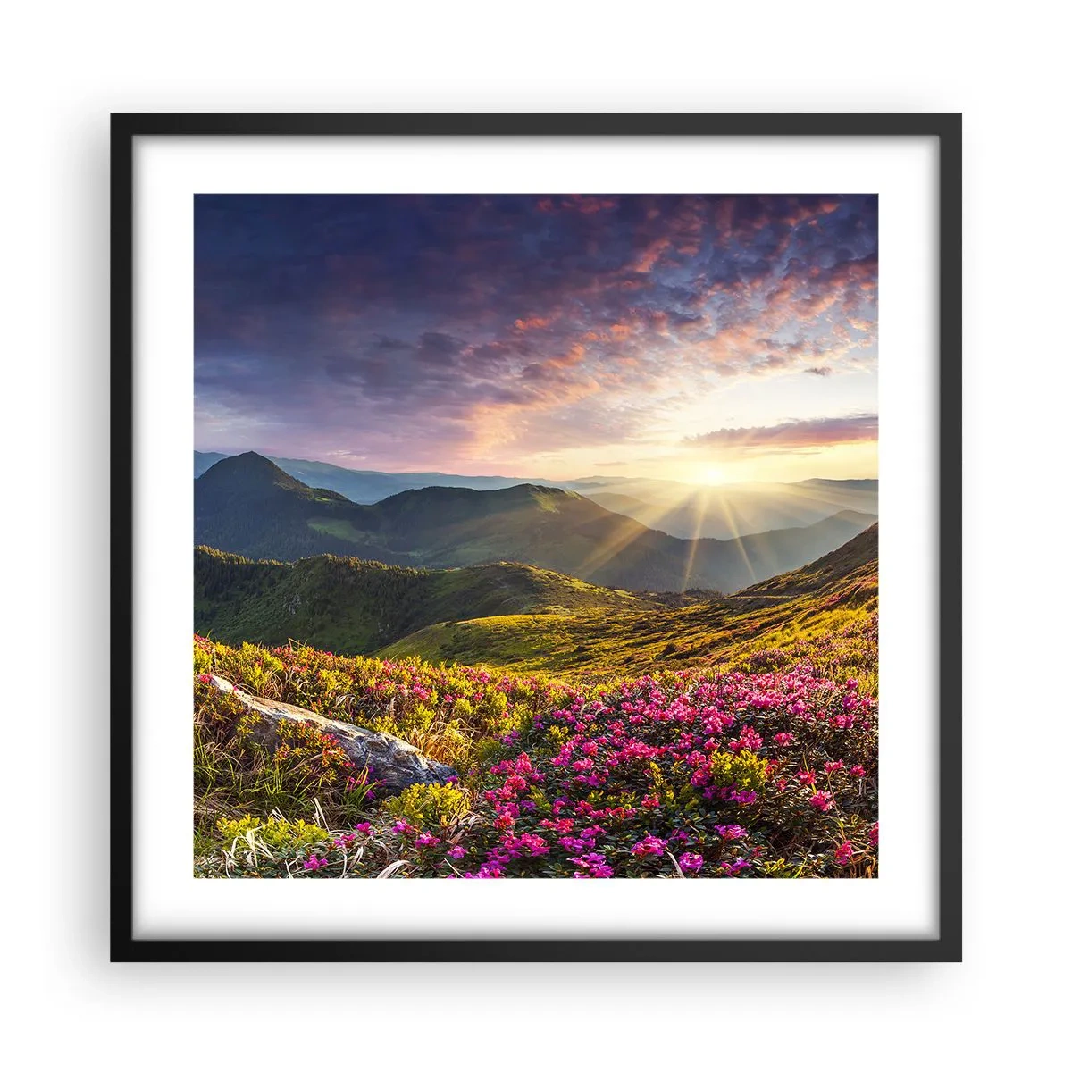 Poster in einem schwarzem Rahmen - Frische am Bergmorgen - 50x50 cm