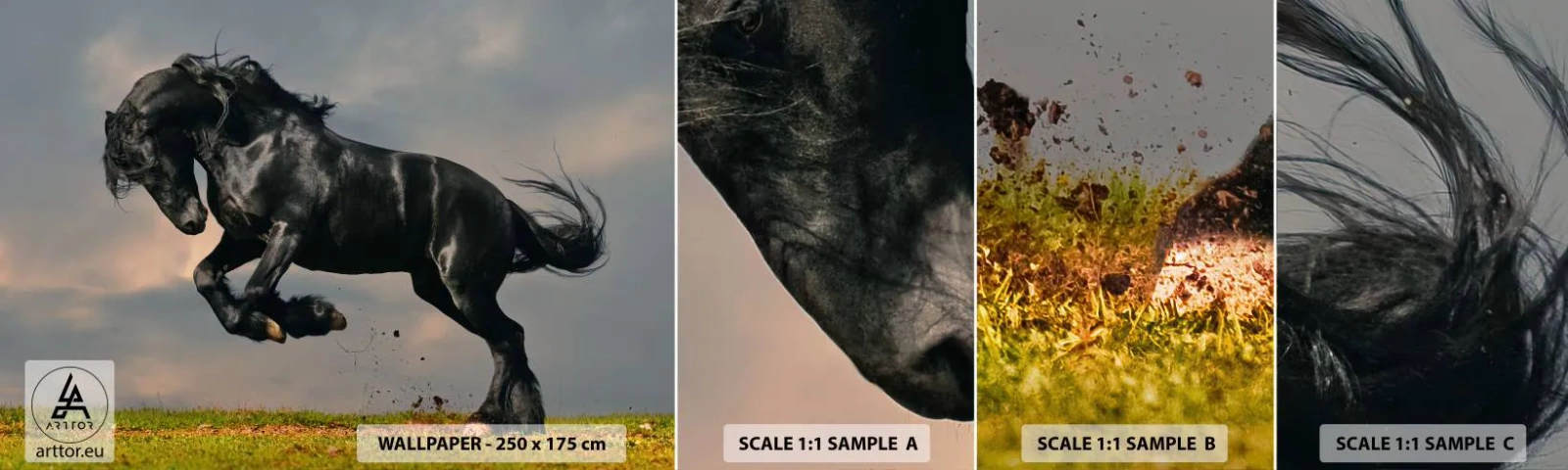 Fototapeten Muster Selbstklebend Deluxe Sticker - Schön und frei - Tiere, Pferd, Landschaft - 100x30 cm