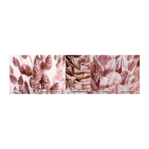 Fototapeten Muster Premium Sand - Scheinbar unauffällig - Getrocknete Blume, Blume, Wiese - 100x30 cm
