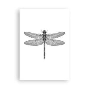 Poster - Präzision der Natur - 70x100 cm