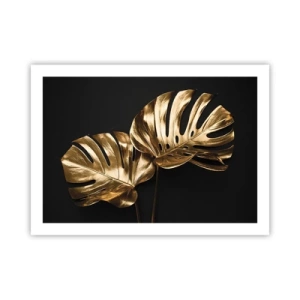 Poster - Die Schätze der Natur - 70x50 cm
