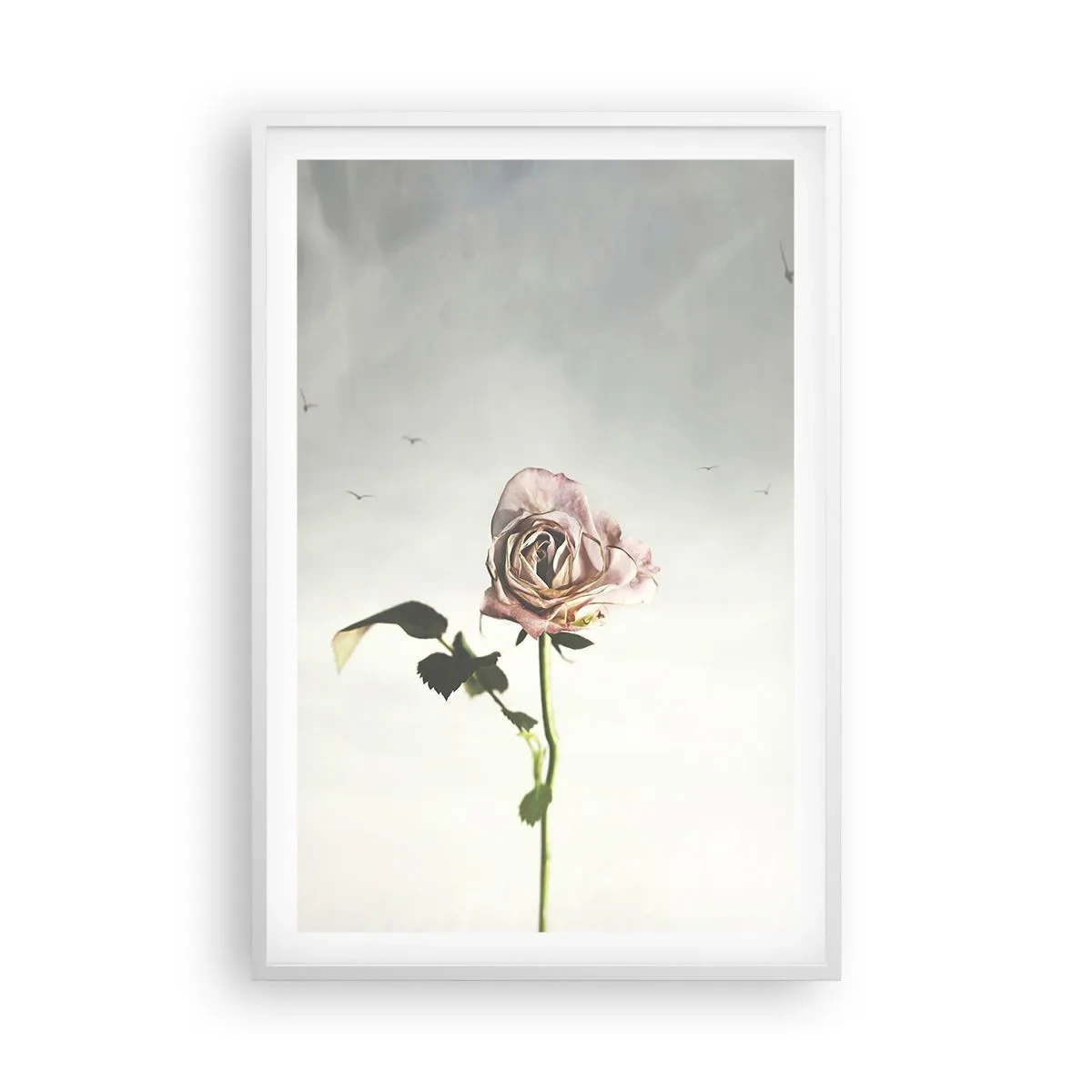 Poster in einem weißen Rahmen - Begrüßung des Frühlings - 61x91 cm