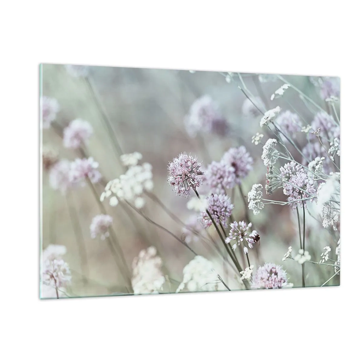 Glasbild - Bild auf glas - Zarte Wildblumen in Pastelltönen - 120x80cm - Süße filigrane Kräuter - Moderne Wanddekoration für Wohnzimmer und Schlafzimmer ARTTOR