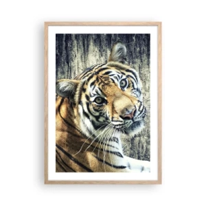 Poster in einem Rahmen aus heller Eiche - Portrait in Lichtstrahlen - 50x70 cm