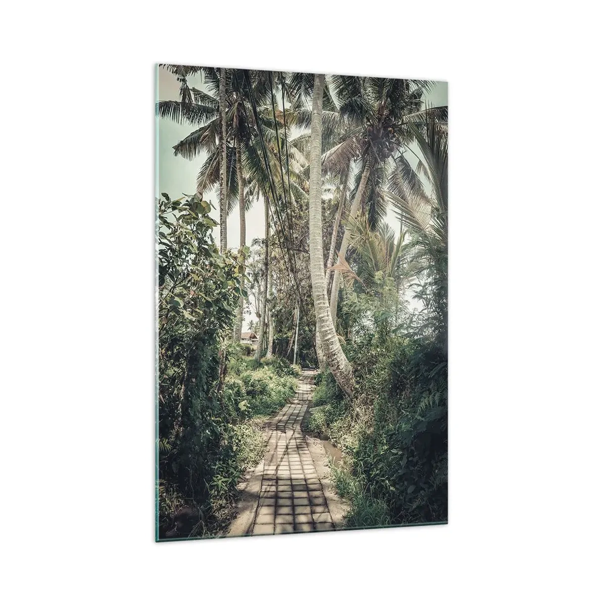 Glasbild - Bild auf glas - Palmenallee - 70x100 cm