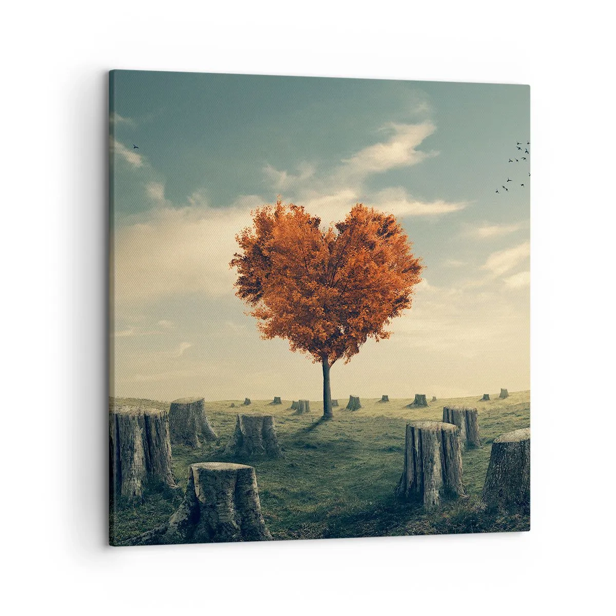 Bild auf Leinwand - Leinwandbild - Es gibt noch Hoffnung - 50x50 cm