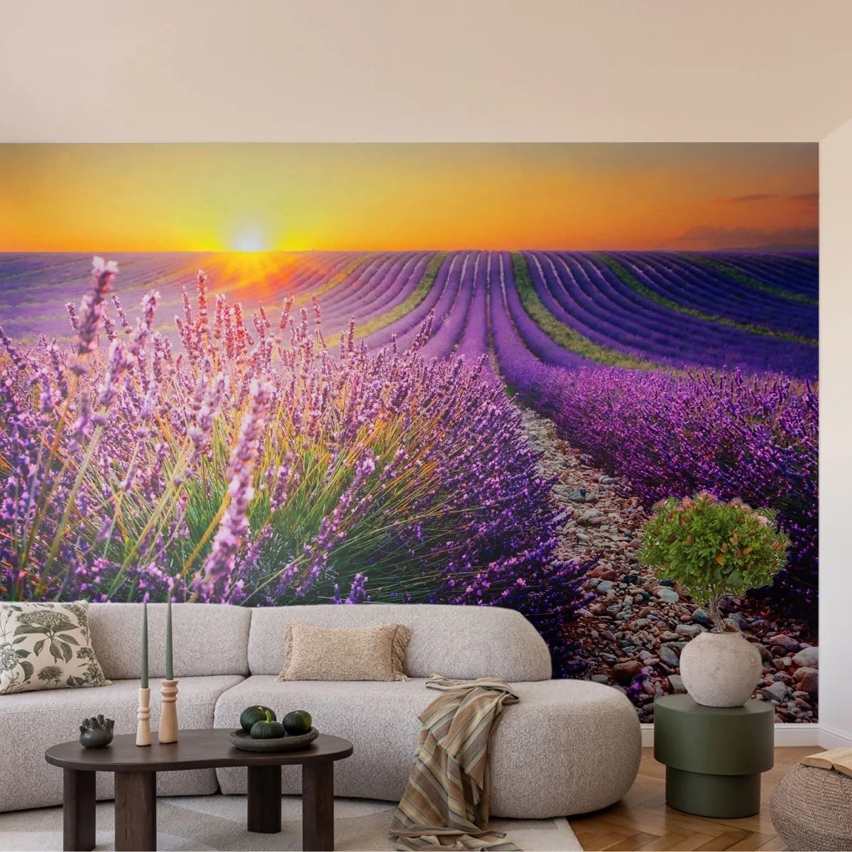 Fototapete Premium Sand - Duftende Kornfelder - Landschaft, Lavendelfeld, Provence - 100x70 cm