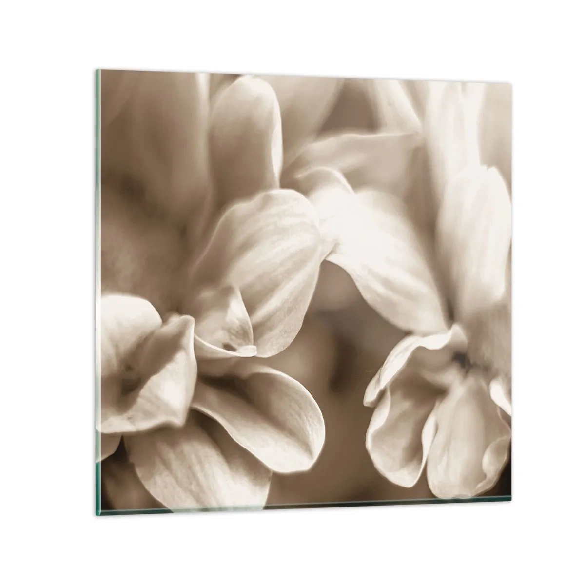 Glasbild - Bild auf glas - So sanft wie ein Lächeln - 60x60 cm