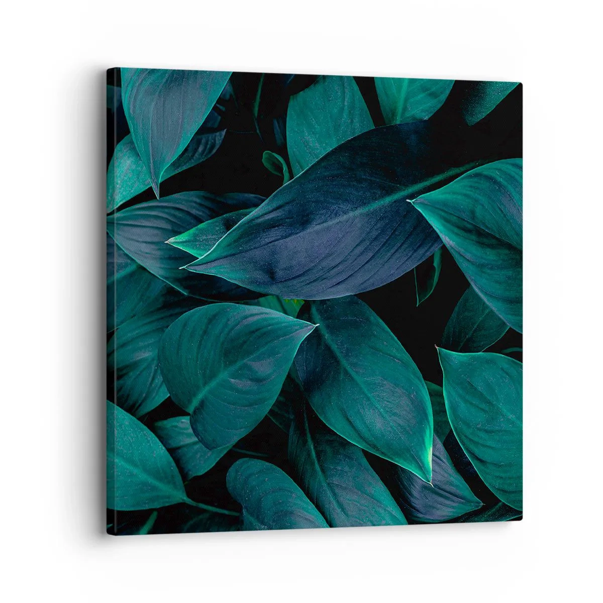 Bild auf Leinwand - Leinwandbild - Grün in sich selbst - 30x30 cm
