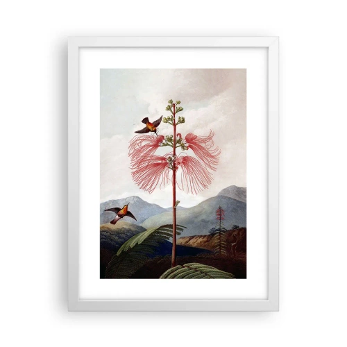 Poster in einem weißen Rahmen - In einem tropischen Paradies - 30x40 cm