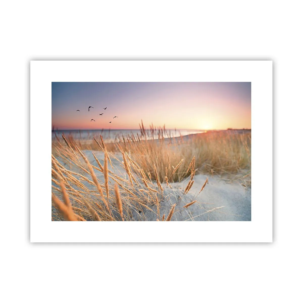 Poster - Das baltische Wiegenlied - 40x30 cm