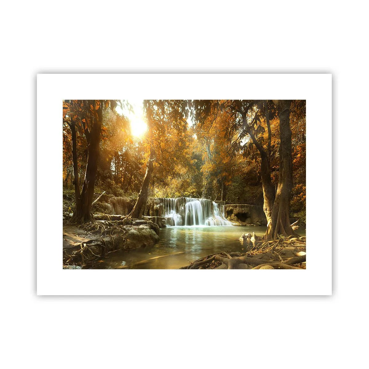 Poster - Parkkaskade - 40x30 cm