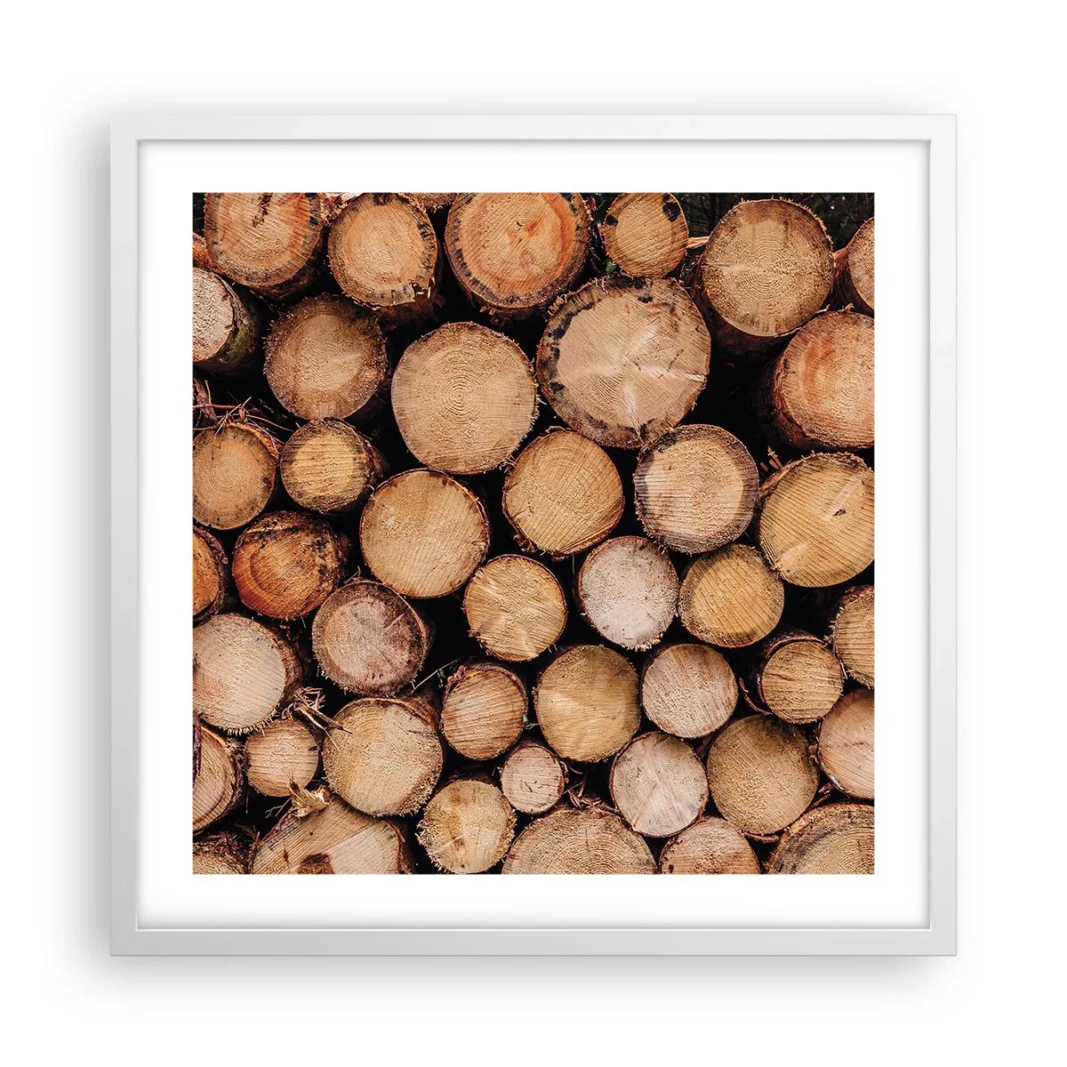 Poster in einem weißen Rahmen - Ein neuer Anfang - 50x50 cm