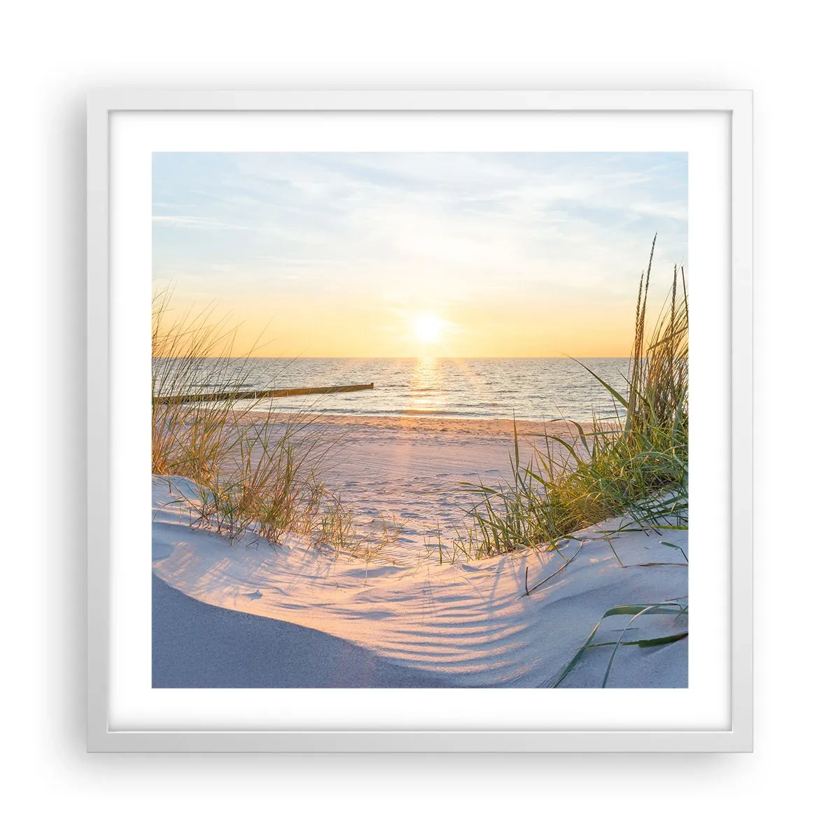 Poster in einem weißen Rahmen - Das Rauschen des Meeres, der Gesang der Vögel, ein wilder Strand im Gras ... - 50x50 cm