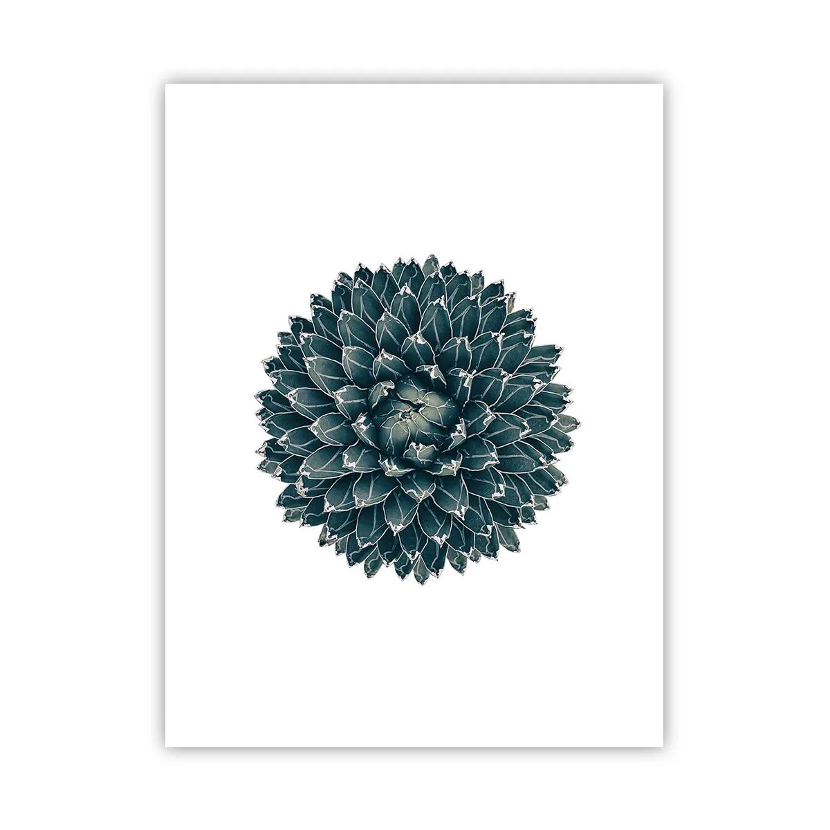 Poster - Stern der Wüste - 30x40 cm
