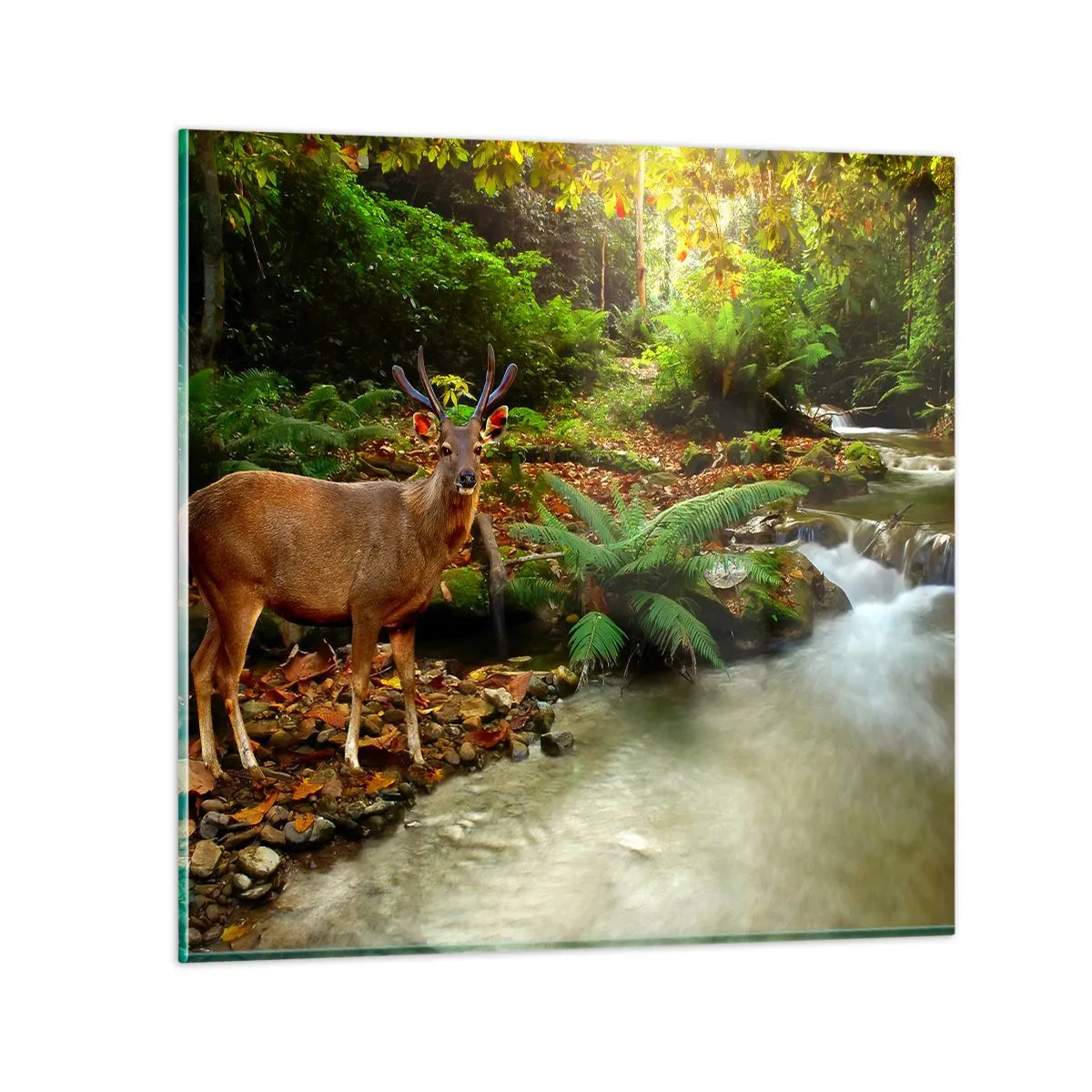 Glasbild - Bild auf glas - Willkommen in meiner Welt - 60x60 cm