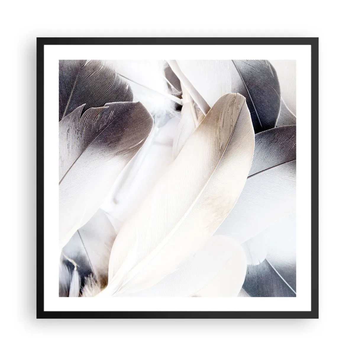 Poster in einem schwarzem Rahmen - Fast engelhaft - 60x60 cm