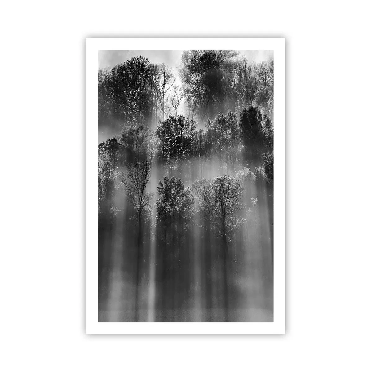 Poster - In Lichtstrahlen - 61x91 cm