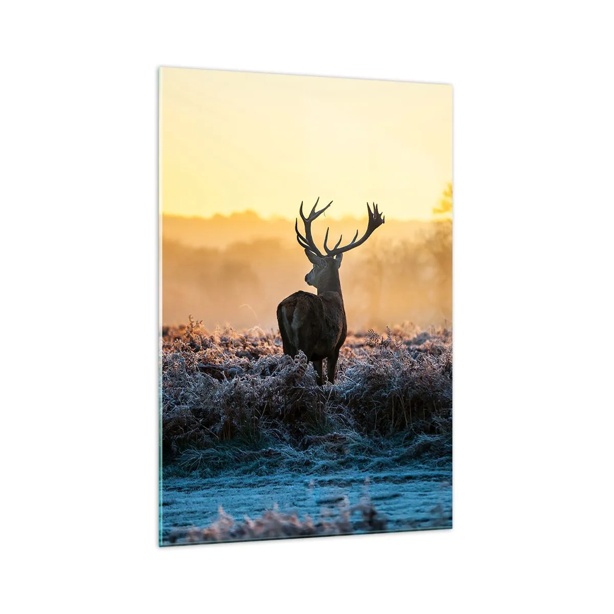 Glasbild - Bild auf glas - Ein Reh auf einer frostigen Lichtung bei Sonnenaufgang - 70x100cm - Gekrönt auf seinem Besitz - Moderne Wanddekoration für Wohnzimmer und Schlafzimmer ARTTOR