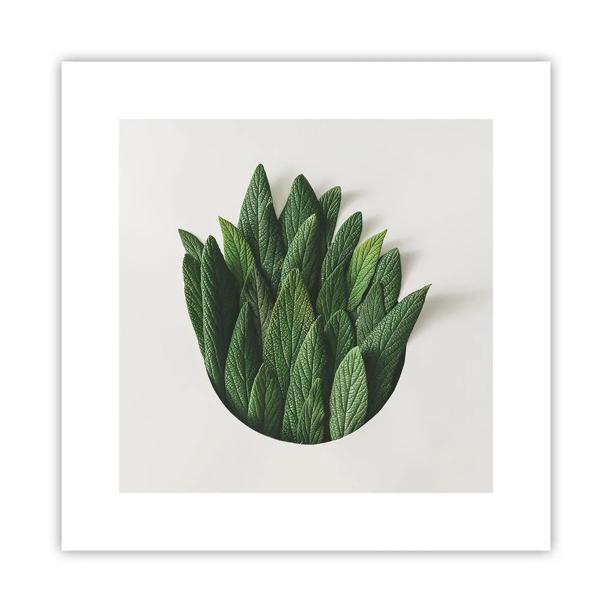 Poster - Ungebremste Neugier - 30x30 cm