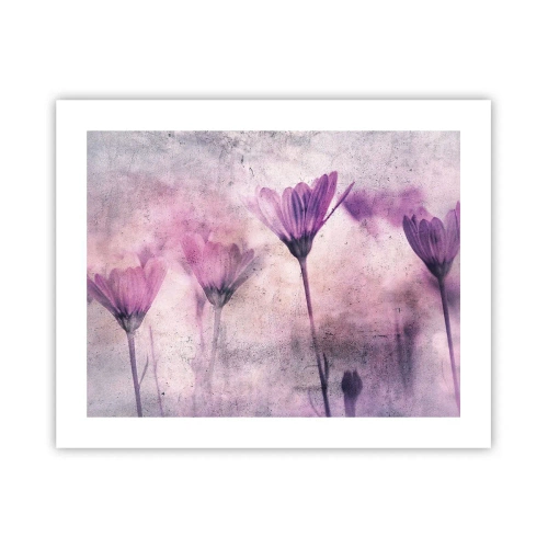 Poster - Ein Blumentraum - 50x40 cm