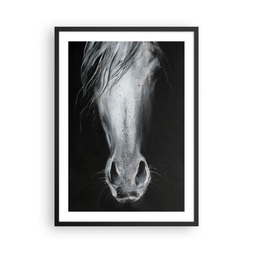 Poster in einem schwarzem Rahmen - Nahaufnahme eines Pferdegesichts in Schwarzweiß - 50x70cm - Verführerischer Look - Moderne Wanddekoration für Wohnzimmer und Schlafzimmer ARTTOR