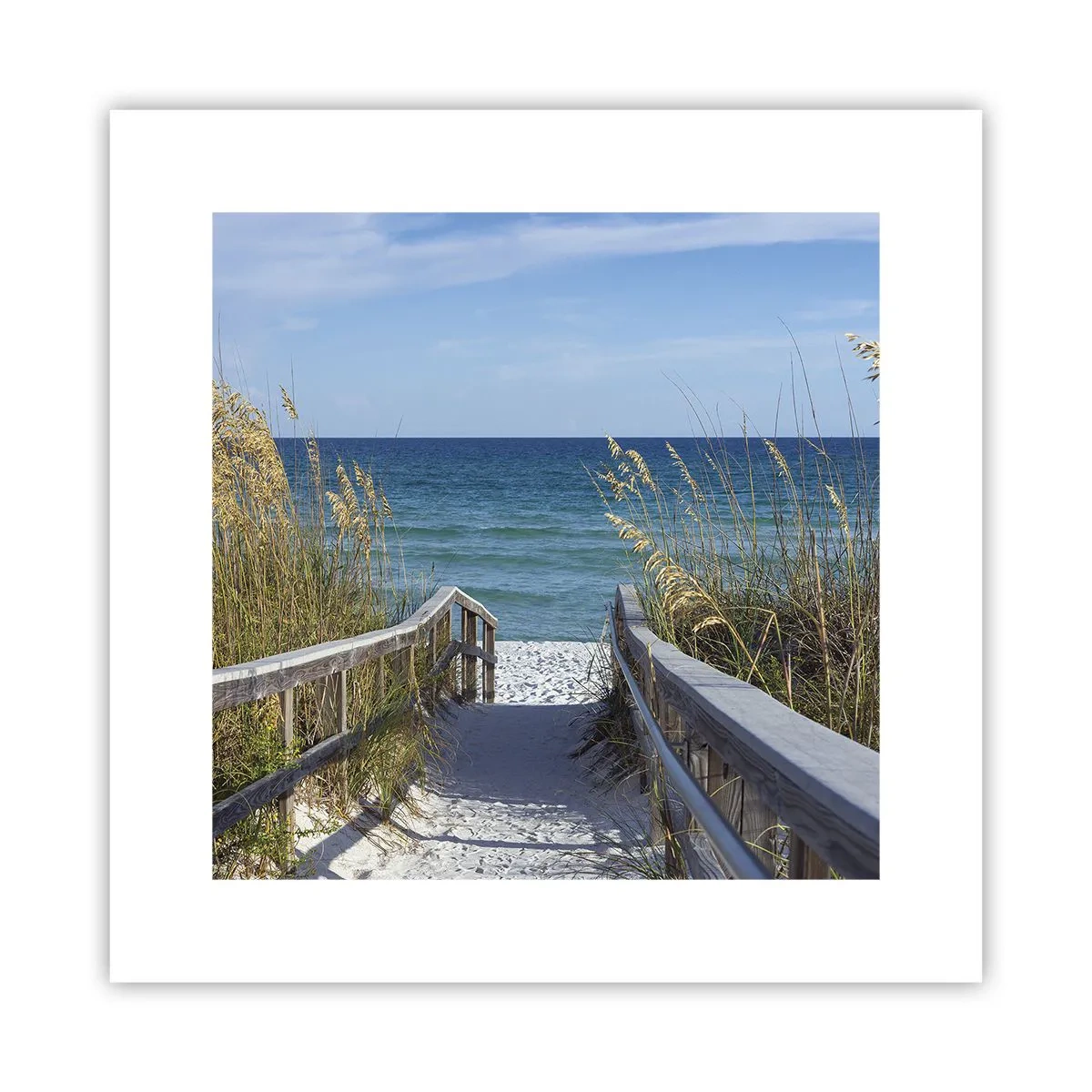 Poster - In der Sonne, im Wind - 30x30 cm