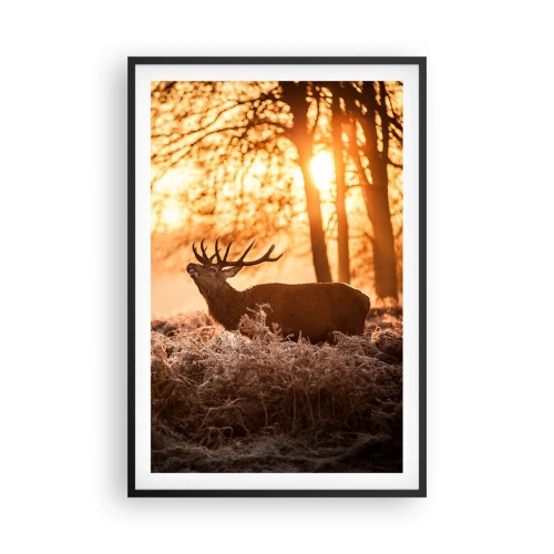 Poster in einem schwarzem Rahmen - Der Traum eines Jägers - 61x91 cm