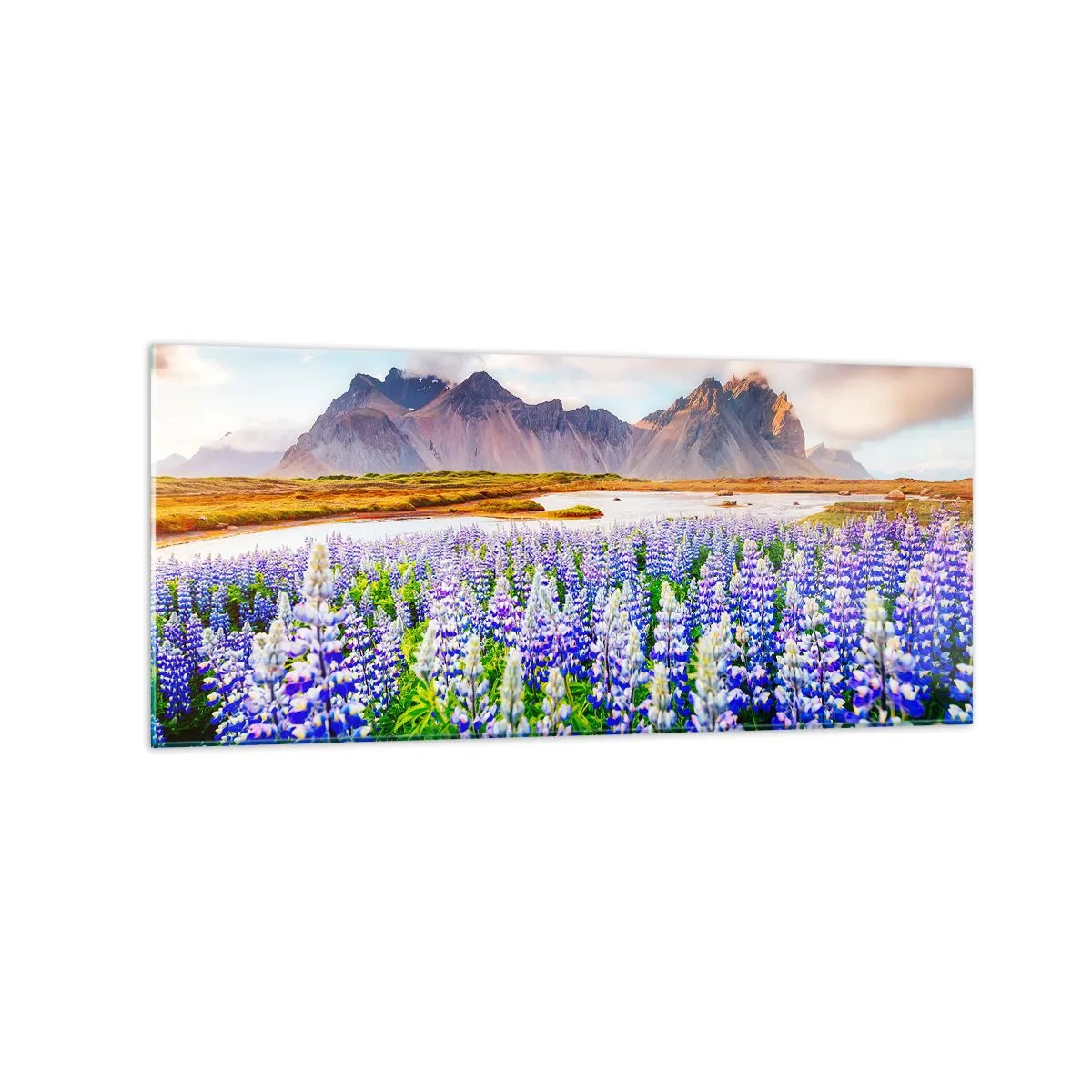 Glasbild - Bild auf glas - Blumen in einer Berglandschaft mit malerischem Himmel - 120x50cm - Kraft und Strenge neben Sanftmut - Moderne Wanddekoration für Wohnzimmer und Schlafzimmer ARTTOR