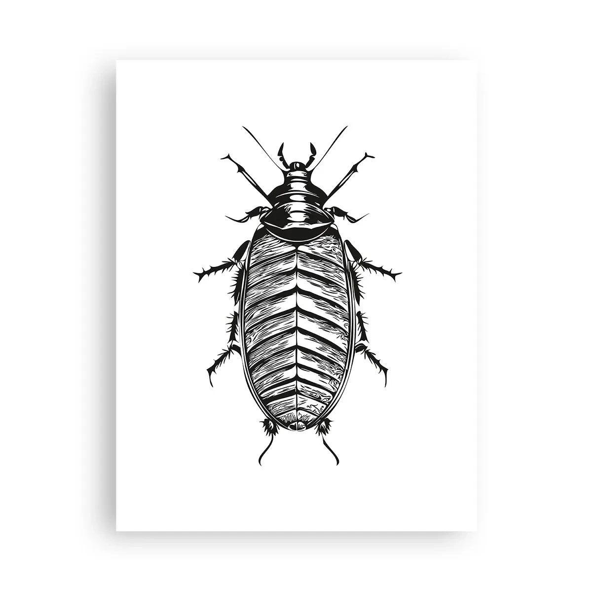 Poster - Was für ein Exemplar! - 30x40 cm